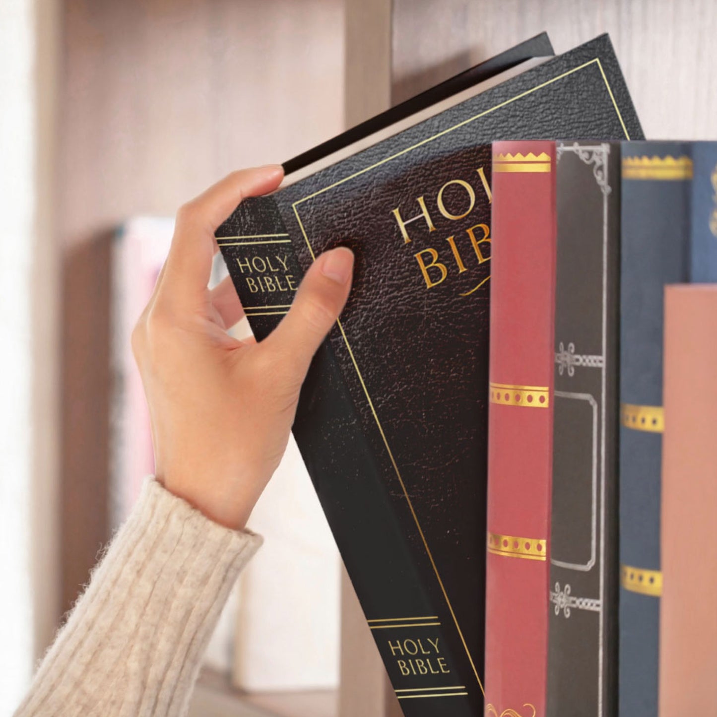 Portable Diversion Book Safe with Secret Compartment (Holy Bible)